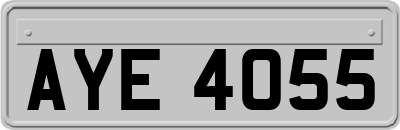 AYE4055