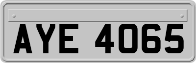 AYE4065