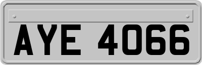 AYE4066