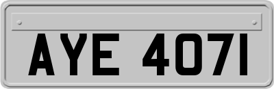 AYE4071
