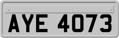 AYE4073