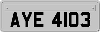 AYE4103
