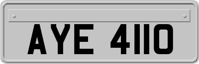 AYE4110