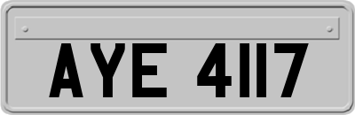 AYE4117