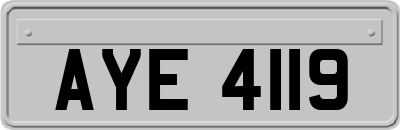 AYE4119