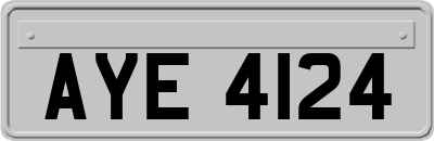 AYE4124