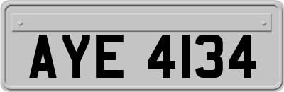 AYE4134
