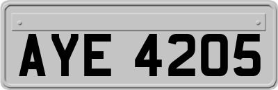 AYE4205