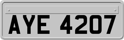 AYE4207