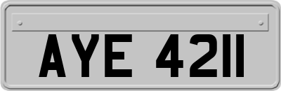 AYE4211