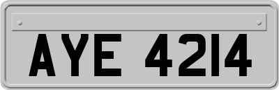 AYE4214