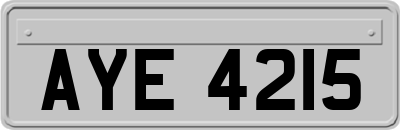 AYE4215