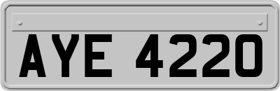 AYE4220