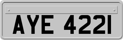 AYE4221