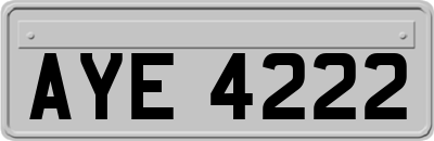 AYE4222