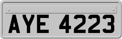 AYE4223
