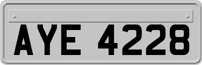 AYE4228