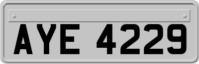 AYE4229