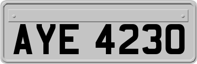AYE4230