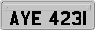 AYE4231