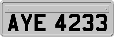 AYE4233