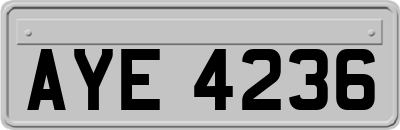 AYE4236