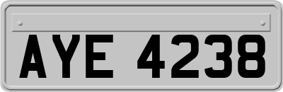 AYE4238