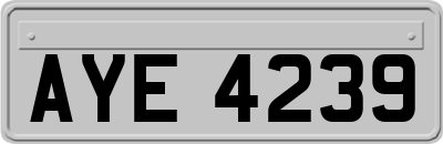 AYE4239