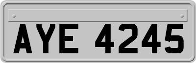 AYE4245