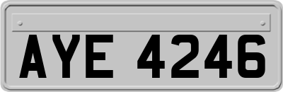 AYE4246