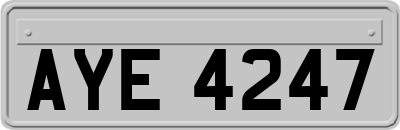 AYE4247