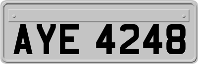 AYE4248