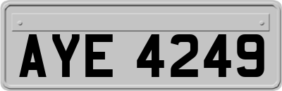AYE4249