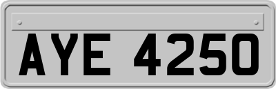 AYE4250