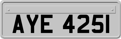 AYE4251