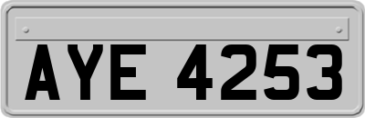 AYE4253
