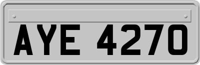 AYE4270