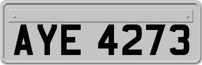 AYE4273