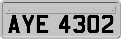 AYE4302