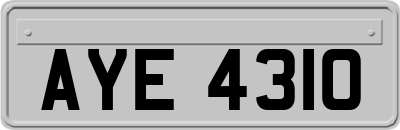 AYE4310
