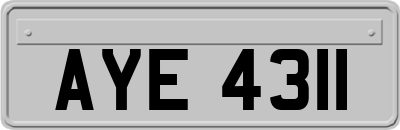 AYE4311