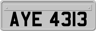 AYE4313