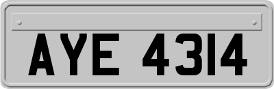 AYE4314