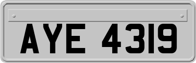 AYE4319