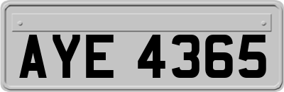 AYE4365