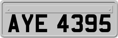 AYE4395