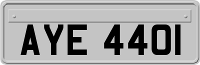 AYE4401