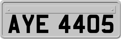 AYE4405