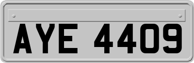 AYE4409