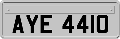 AYE4410